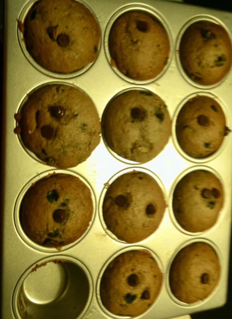 pumpkin-chocolate-chip-muffins-in-a-non-stick-muffin-pan