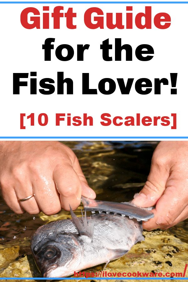 10 of the Best Fish Scalers for 2021 A Review Guide.