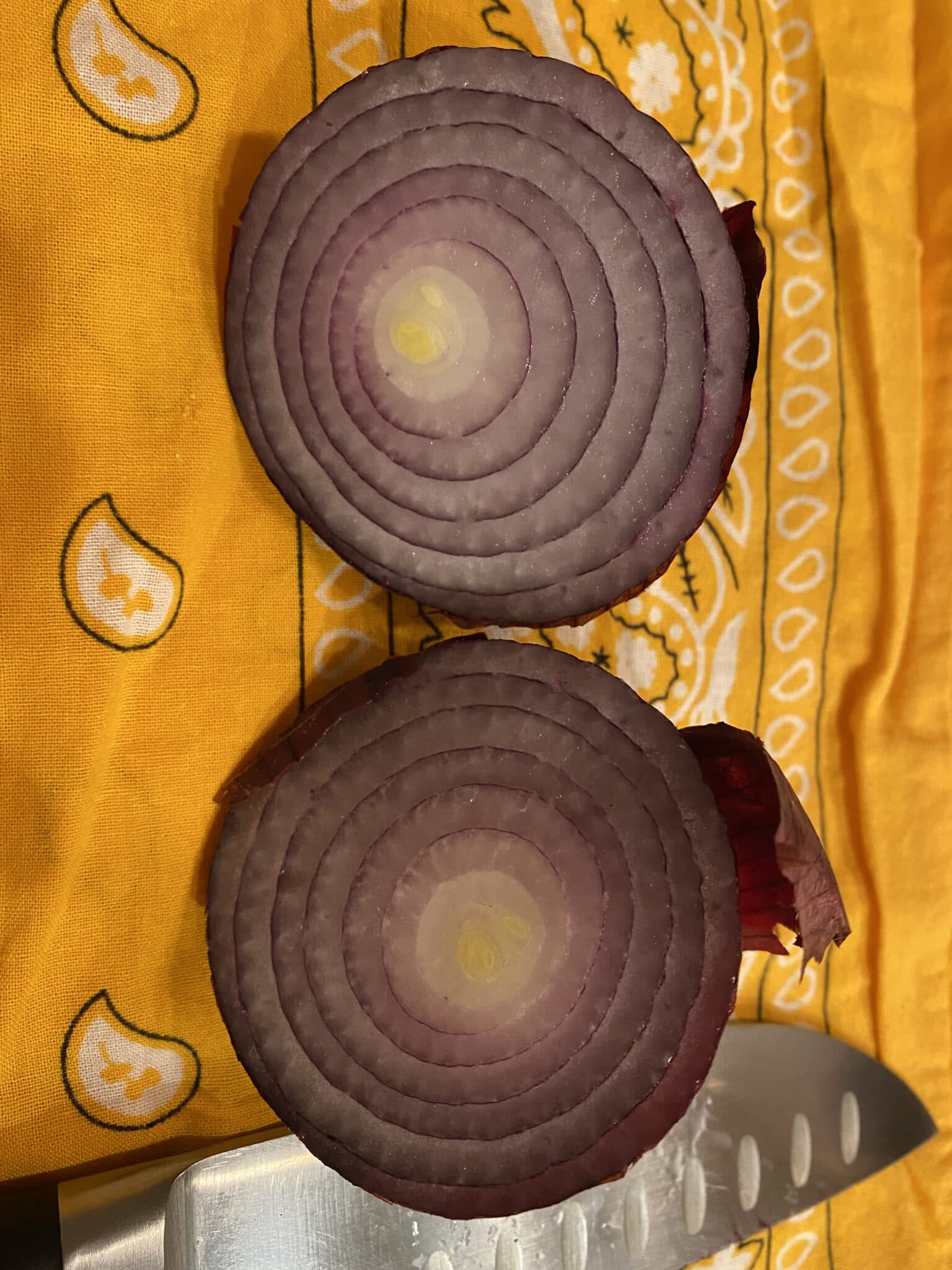 Can you chop onions in a food processor?