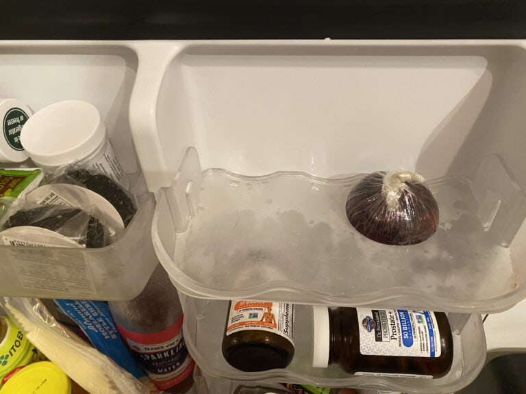 Can you chop onions in a food processor?