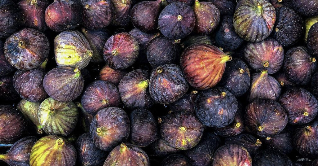 How to freeze figs when you have too many