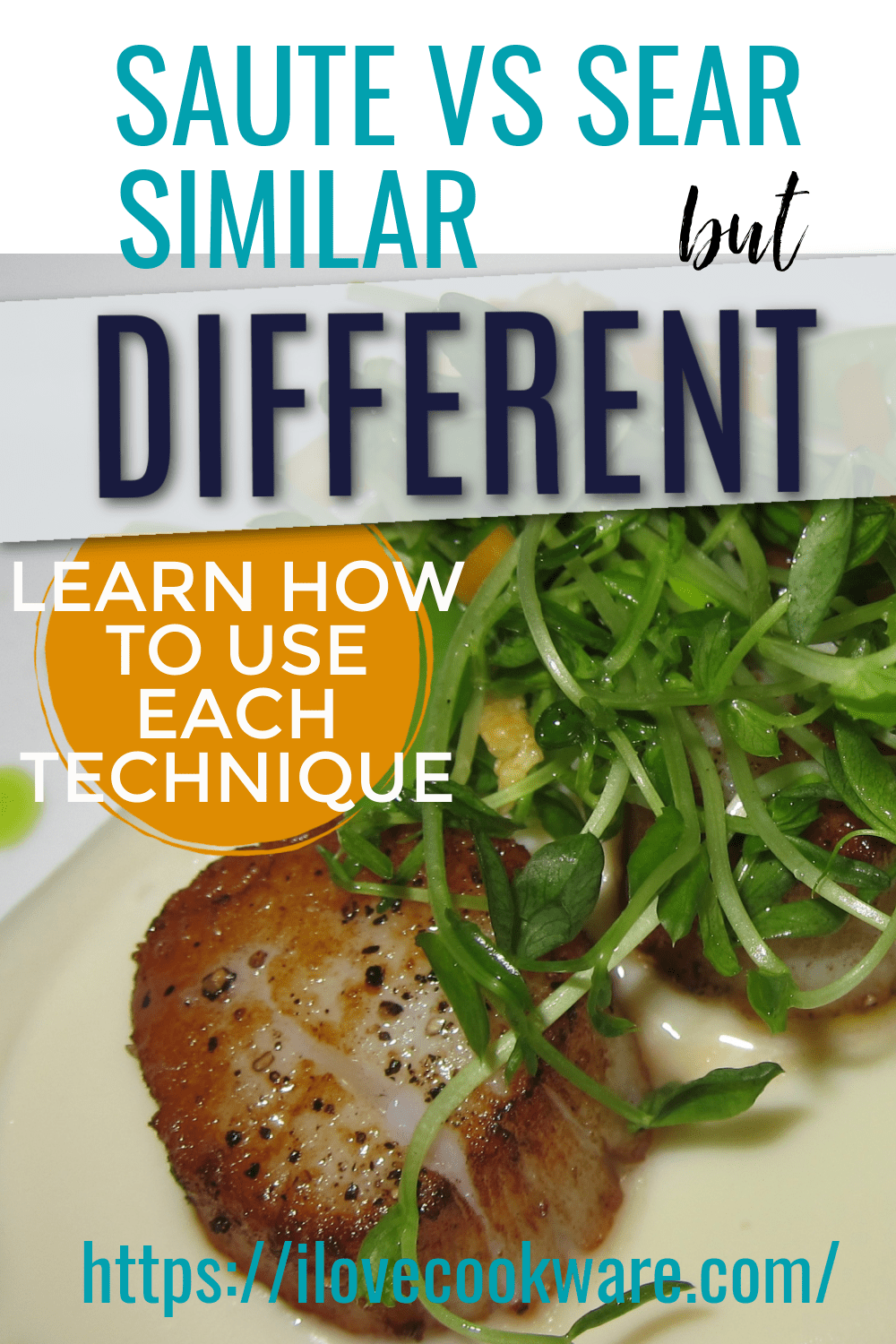 Sauté Vs. Sear What’s The Difference A Complete Guide