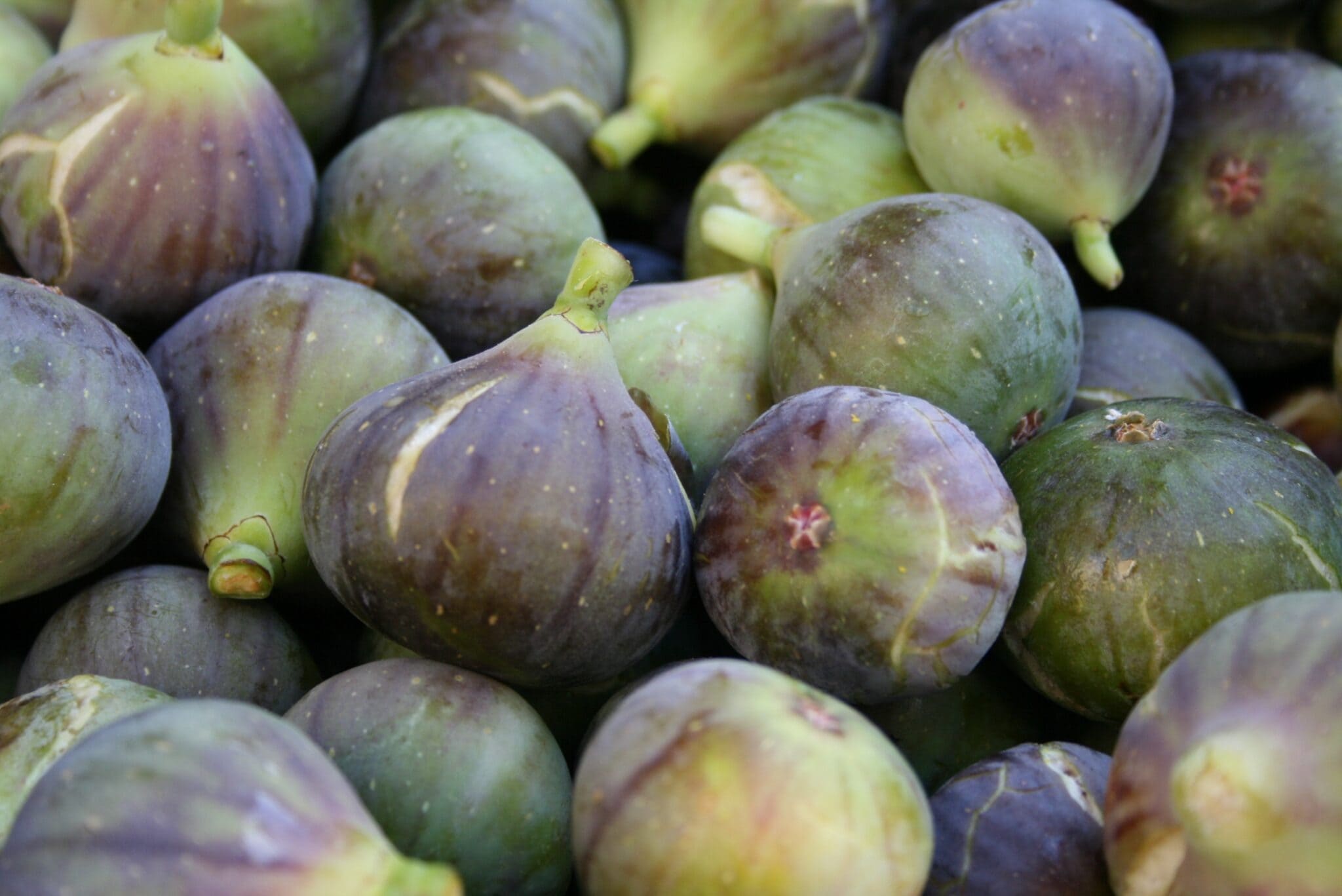 How To Freeze Figs A Step By Step Guide   Figs And How To Freeze Figs 2048x1367 