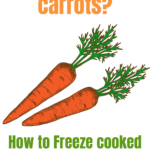 Can You Freeze Carrots? – How to Freeze Cooked Carrots.