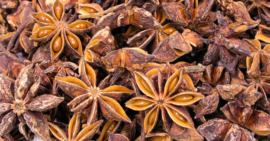 Star Anise - Thai Herbs