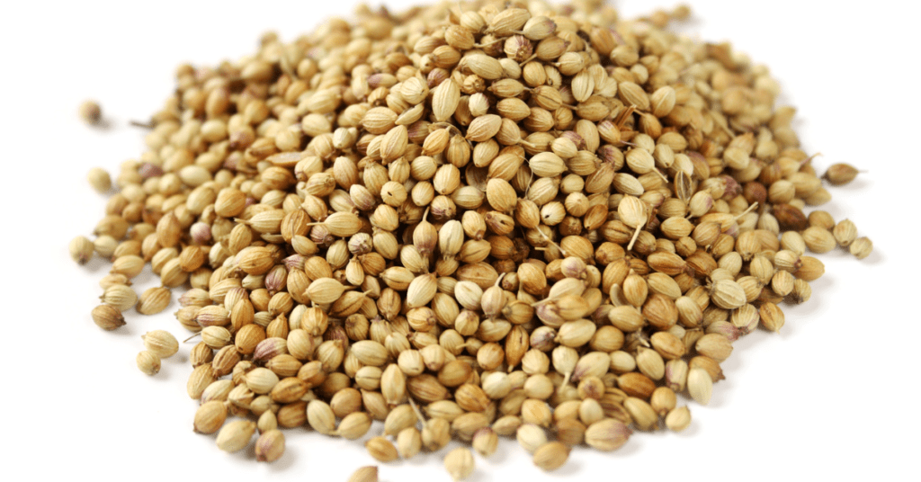 Thai spices_ Coriander seeds